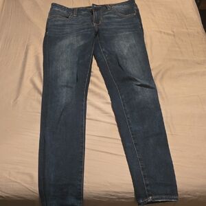 American Eagle Outfitters Indigo Skinny Jeans